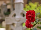 csc_0312