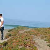 dsc_0022