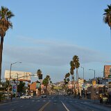 dsc_0104