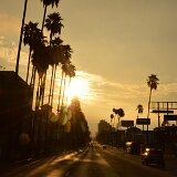 dsc_0105