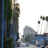dsc_0111