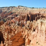 dsc_0730