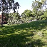 20190606_190255