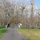 20200313_154131