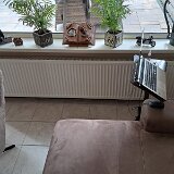 IMG-20220522-WA0019