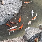 20220529_130030