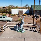 20241004_093532_608_1728059741979_photo_optimized